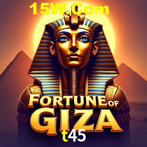 t45 Rio de Janeiro - Bonus Terms